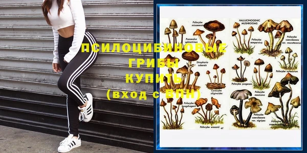 ПСИЛОЦИБИНОВЫЕ ГРИБЫ Касимов
