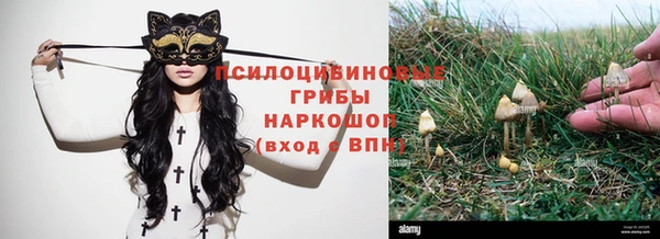 ПСИЛОЦИБИНОВЫЕ ГРИБЫ Касимов
