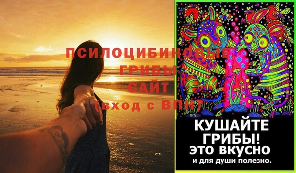 ПСИЛОЦИБИНОВЫЕ ГРИБЫ Касимов